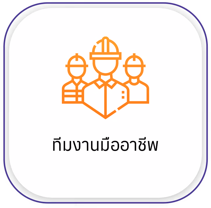 เป็นมืออาชีพ